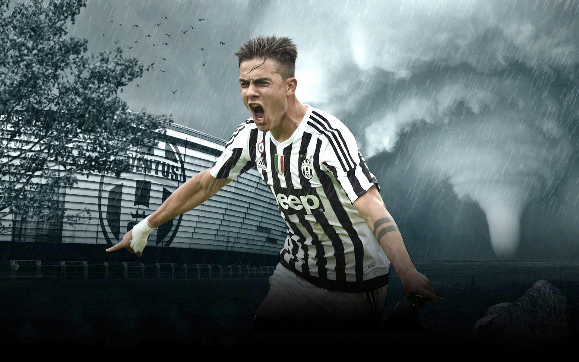 山东泰山推出官方授权球星卡，每盒售价698元（山东泰山发布官方授权球星卡，单盒定价698元）